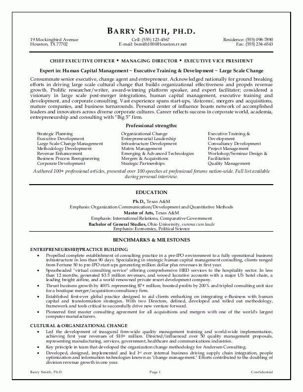 CEO Resume Example Executive Resume Sample